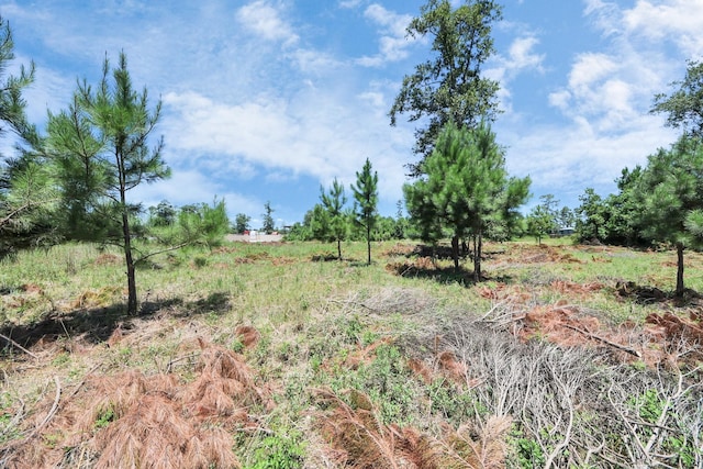 269 County Road 5025, Cleveland, TX 77327 - photo 12