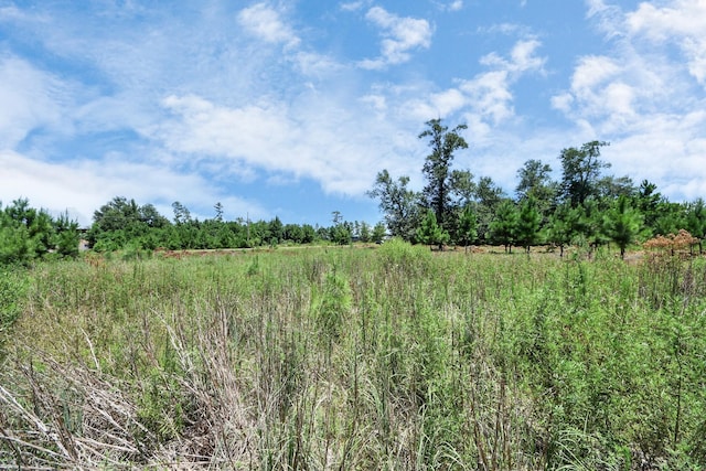 269 County Road 5025, Cleveland, TX 77327 - photo 13