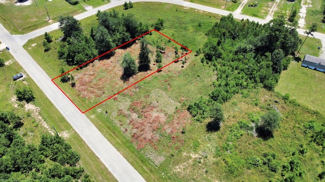 269 County Road 5025, Cleveland, TX 77327 - photo 1