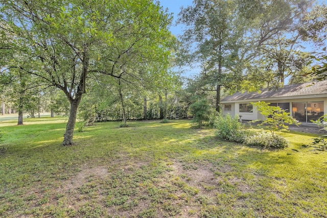 6 Winged Foot Dr, Conroe, TX 77304 - photo 43
