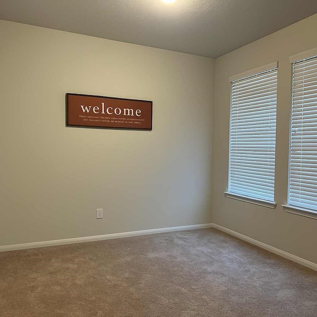 11355 Cascading Stream Way, Houston, TX 77044 - photo 3