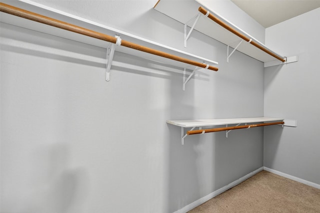 3102 Holly Hall St Unit 3102, Houston, TX 77054 - photo 21