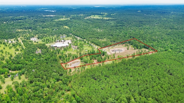 TBD Haynes Rd, Huntsville, TX 77320 - photo 1
