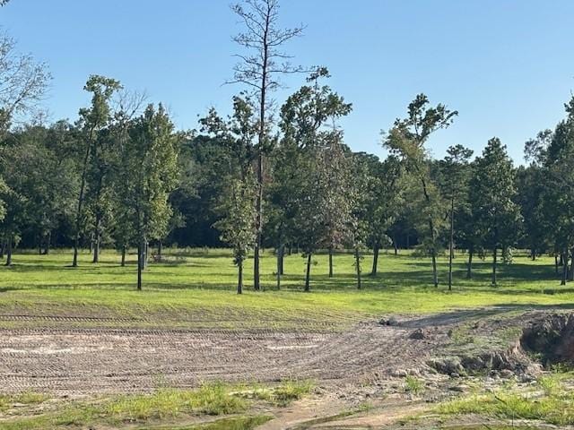 TBD Haynes Rd, Huntsville, TX 77320 - photo 10