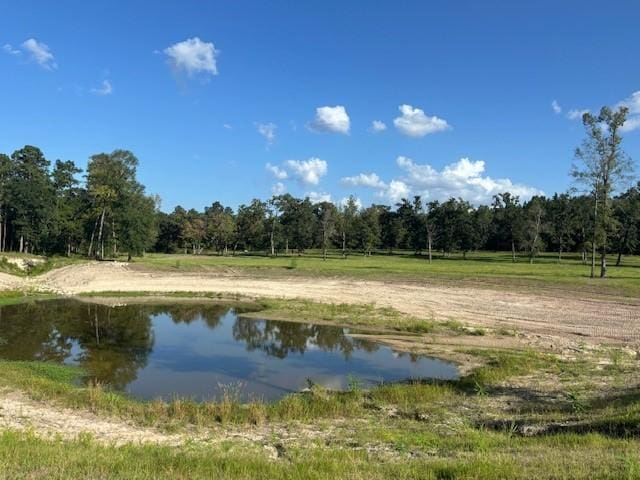 TBD Haynes Rd, Huntsville, TX 77320 - photo 11