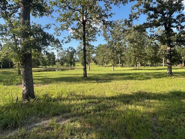 TBD Haynes Rd, Huntsville, TX 77320 - photo 12