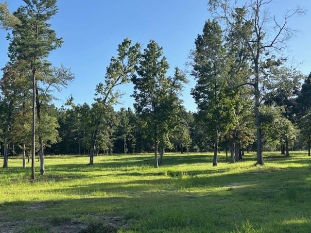 TBD Haynes Rd, Huntsville, TX 77320 - photo 14