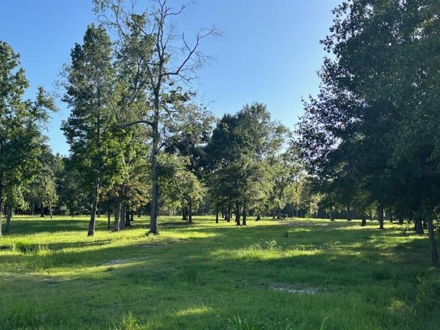 TBD Haynes Rd, Huntsville, TX 77320 - photo 15