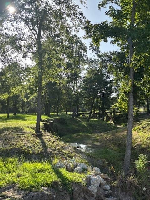 TBD Haynes Rd, Huntsville, TX 77320 - photo 16