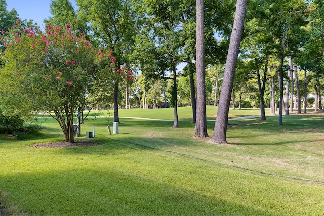 3062 Lake Island Dr, Montgomery, TX 77356 - photo 45
