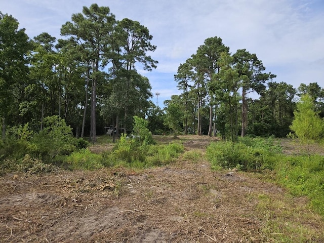 1010 Potts Rd, Humble, TX 77338 - photo 2