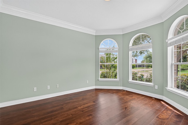 14202 Nelson Bay Ct, Sugar Land, TX 77498 - photo 5