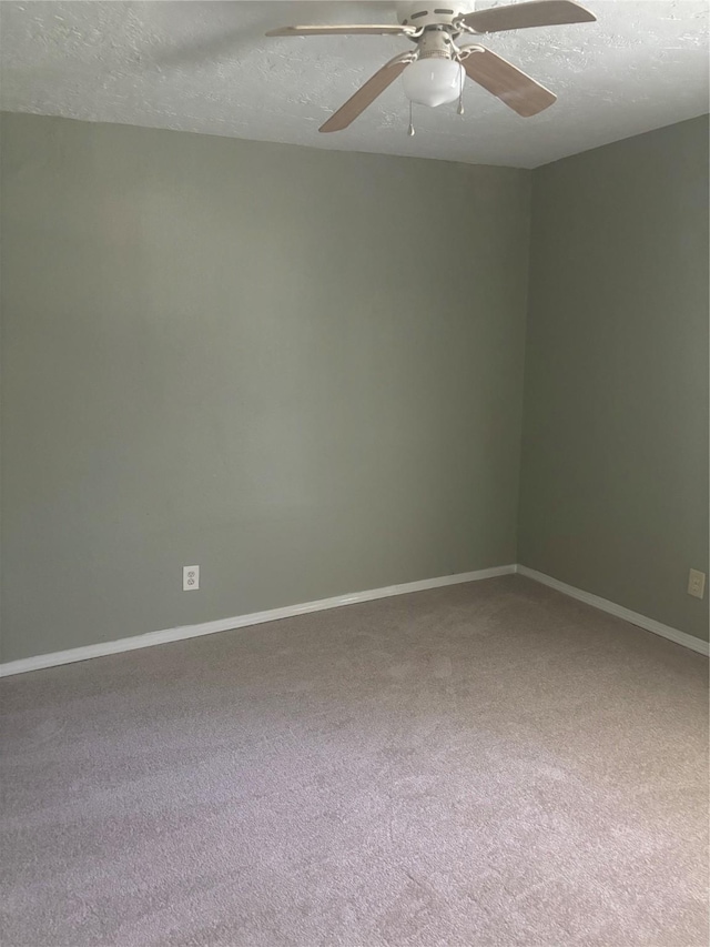 4830 Van Fleet St, Houston, TX 77033 - photo 3