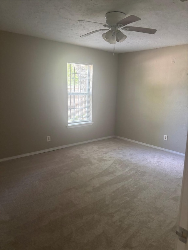 4830 Van Fleet St, Houston, TX 77033 - photo 6