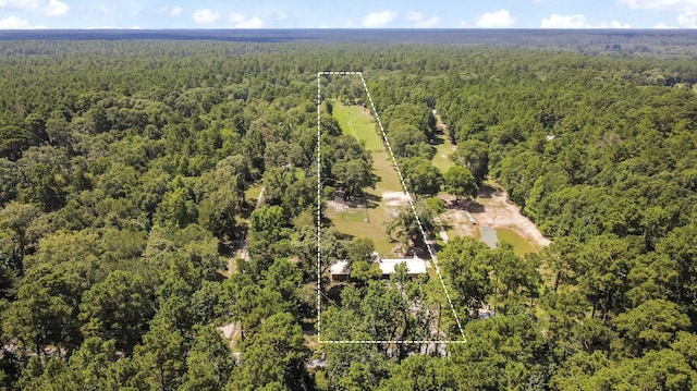891 Lower Vann Rd, Coldspring, TX 77331 - photo 8