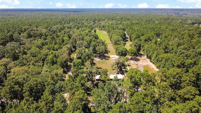 891 Lower Vann Rd, Coldspring, TX 77331 - photo 9