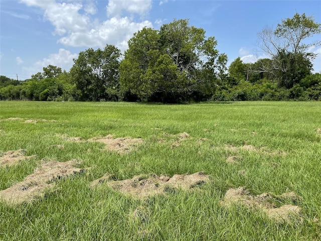 0 Doreen St, Rosharon, TX 77583 - photo 13