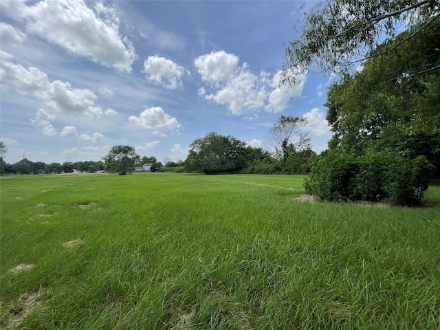 0 Doreen St, Rosharon, TX 77583 - photo 14