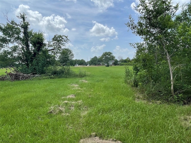0 Doreen St, Rosharon, TX 77583 - photo 15