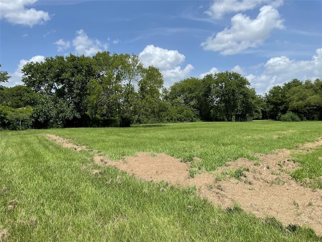 0 Doreen St, Rosharon, TX 77583 - photo 16