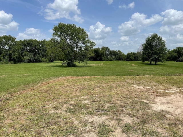 0 Doreen St, Rosharon, TX 77583 - photo 18