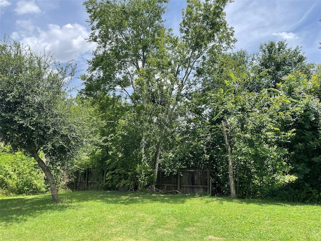0 Doreen St, Rosharon, TX 77583 - photo 9