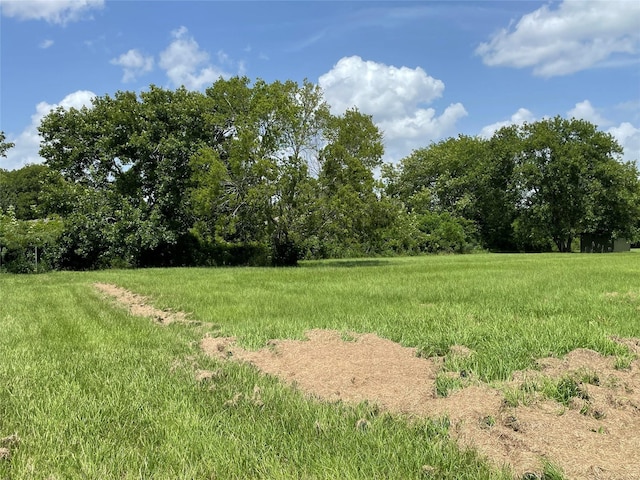 0 Doreen St, Rosharon, TX 77583 - photo 19