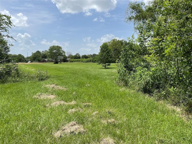 0 Doreen St, Rosharon, TX 77583 - photo 20