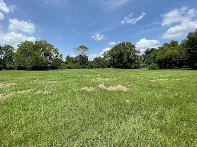 0 Doreen St, Rosharon, TX 77583 - photo 21