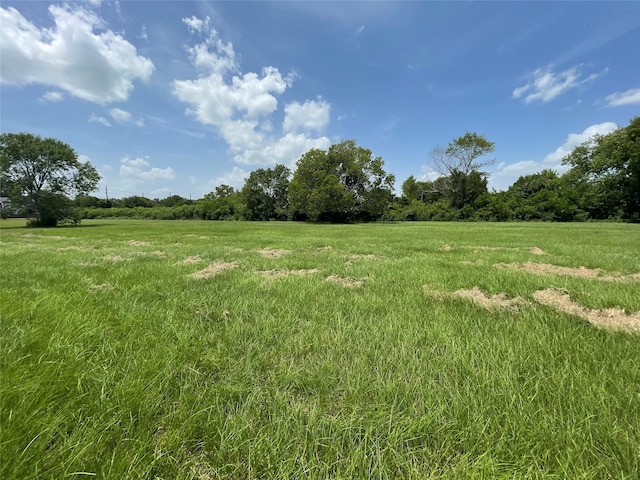 0 Doreen St, Rosharon, TX 77583 - photo 22