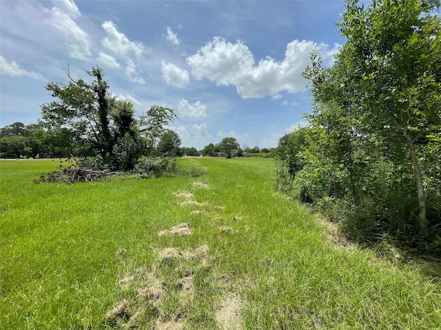 0 Doreen St, Rosharon, TX 77583 - photo 25