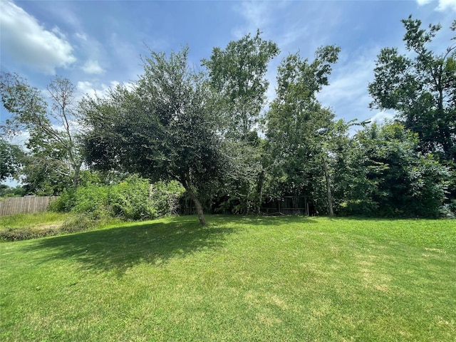 0 Doreen St, Rosharon, TX 77583 - photo 8