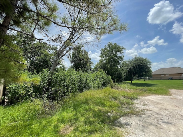 0 Doreen St, Rosharon, TX 77583 - photo 5