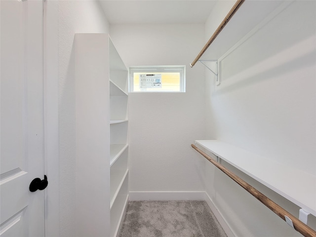 2026 Wavell St, Houston, TX 77088 - photo 23