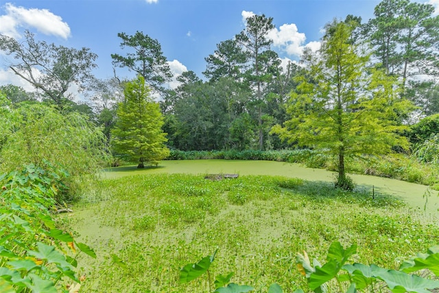 17985 Split Oak Cir, New Caney, TX 77357 - photo 38