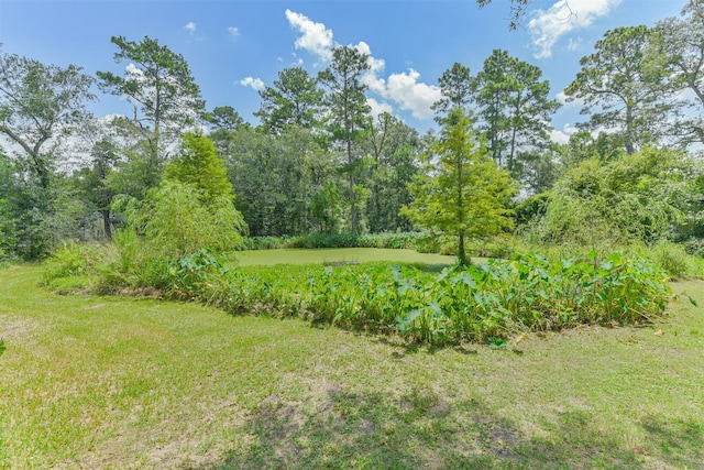 17985 Split Oak Cir, New Caney, TX 77357 - photo 39