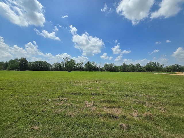 2418 Wolcek Rd, Crosby, TX 77532 - photo 3