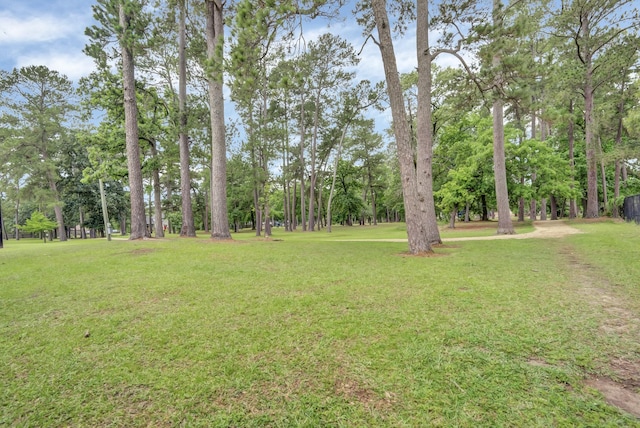 4810 Brinkman St, Houston, TX 77018 - photo 37