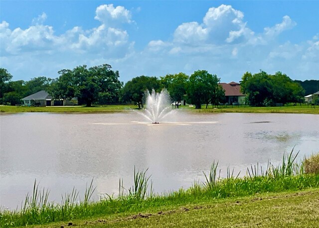 17414 Cypress Hill Dr, Rosharon, TX 77583 - photo 4