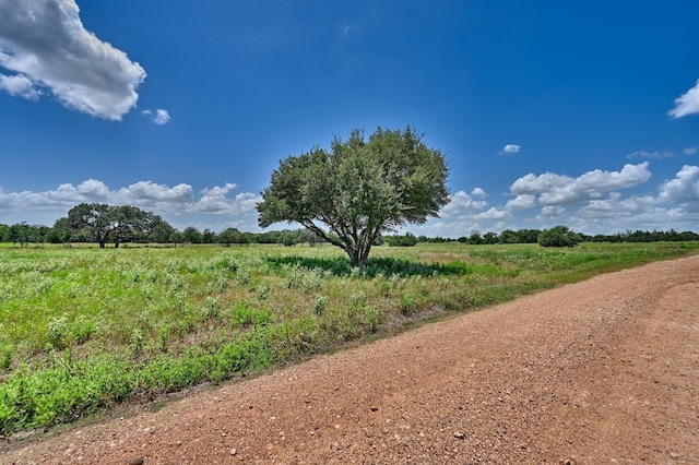 330 N Nassau Rd, Round Top, TX 78954 - photo 15