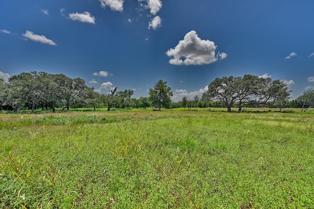 330 N Nassau Rd, Round Top, TX 78954 - photo 16