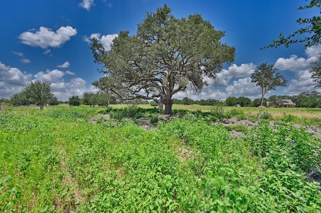 330 N Nassau Rd, Round Top, TX 78954 - photo 17