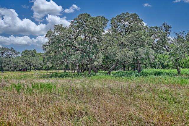 330 N Nassau Rd, Round Top, TX 78954 - photo 18
