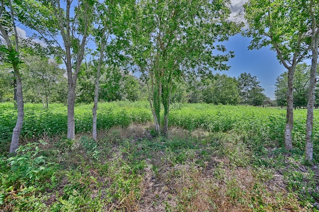 330 N Nassau Rd, Round Top, TX 78954 - photo 19