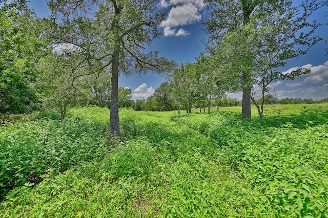330 N Nassau Rd, Round Top, TX 78954 - photo 20