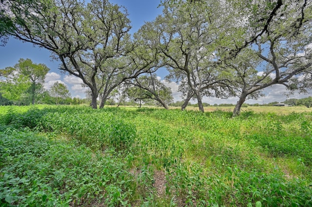330 N Nassau Rd, Round Top, TX 78954 - photo 21
