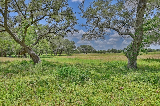 330 N Nassau Rd, Round Top, TX 78954 - photo 22
