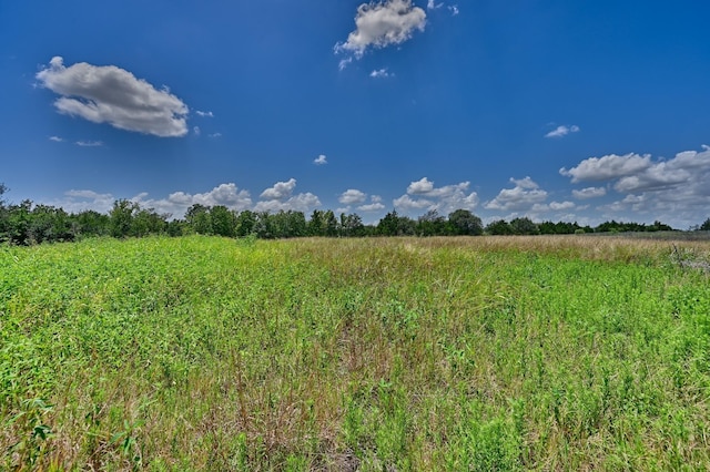 330 N Nassau Rd, Round Top, TX 78954 - photo 23
