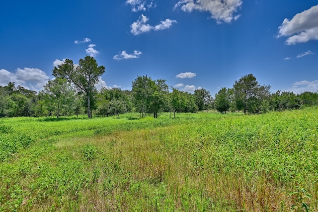 330 N Nassau Rd, Round Top, TX 78954 - photo 24