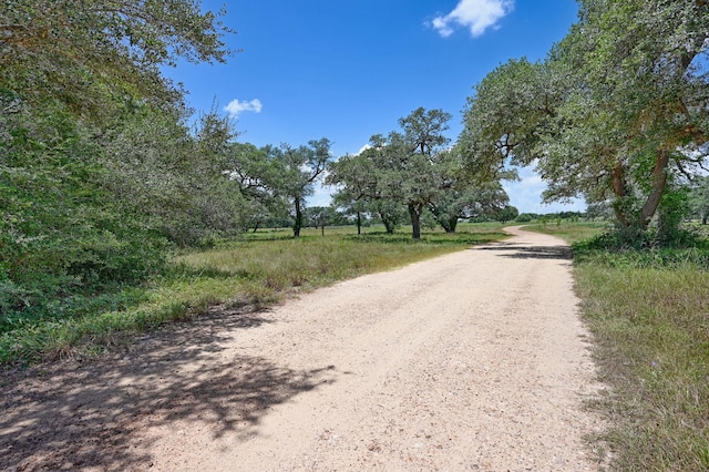330 N Nassau Rd, Round Top, TX 78954 - photo 11
